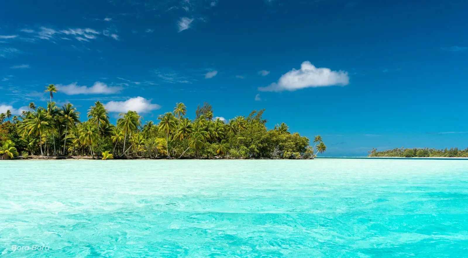 Palm-covered motu across turquoise shallow water