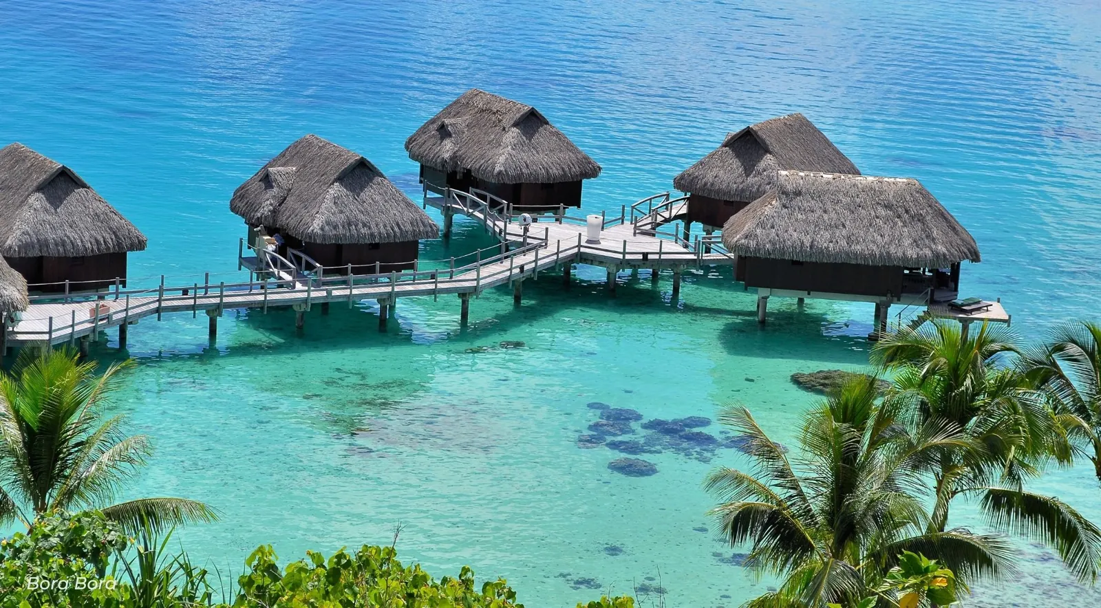 Overwater bungalows on stilts above clear water seen from above