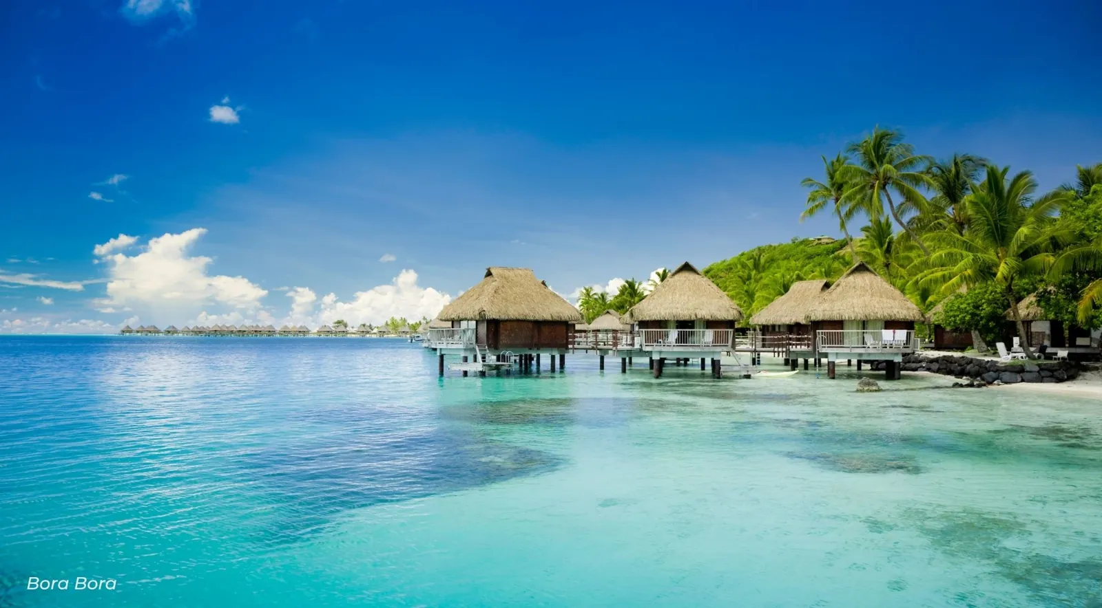 Thatched overwater bungalows over calm turquoise water