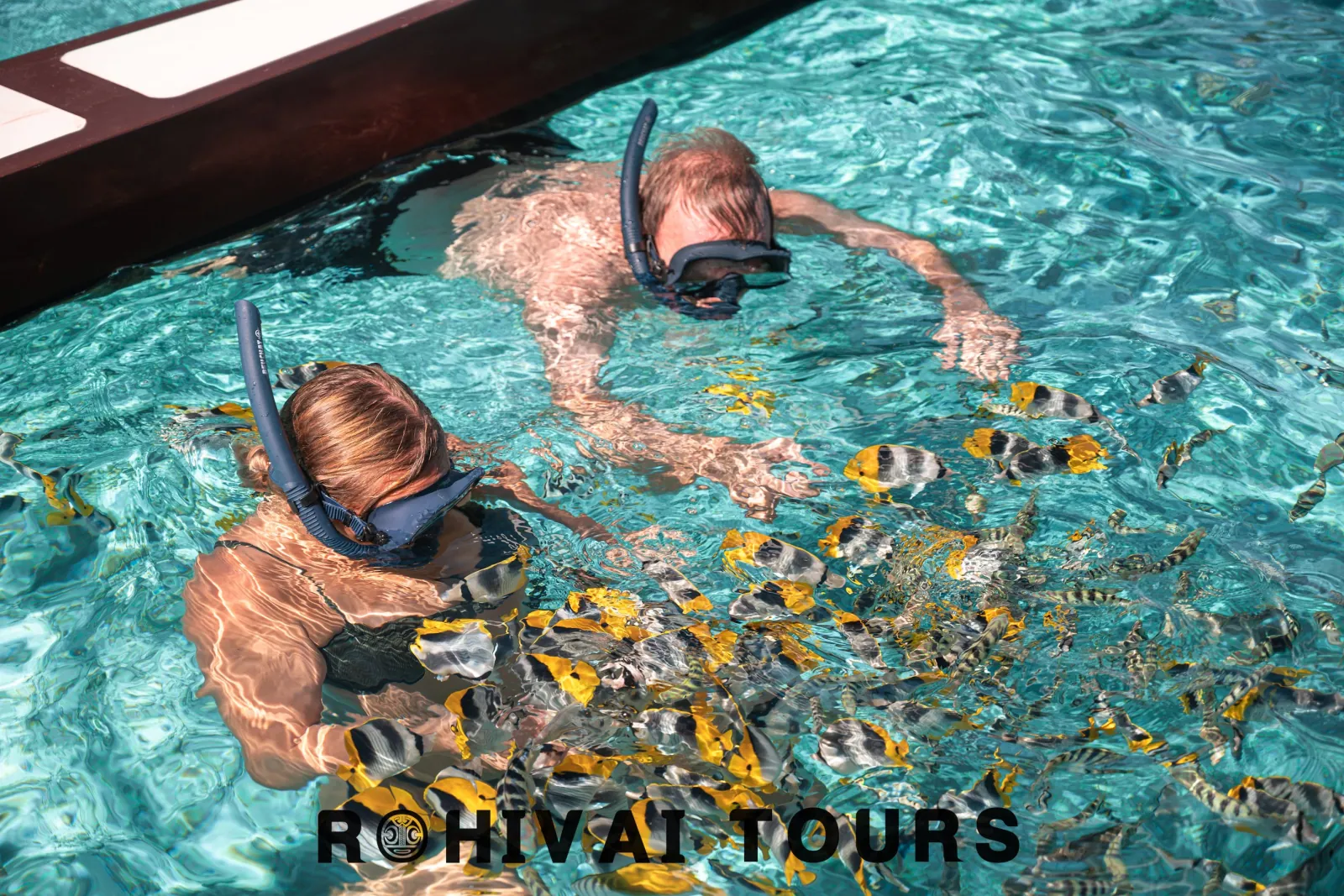 Half-Day Lagoon Safari