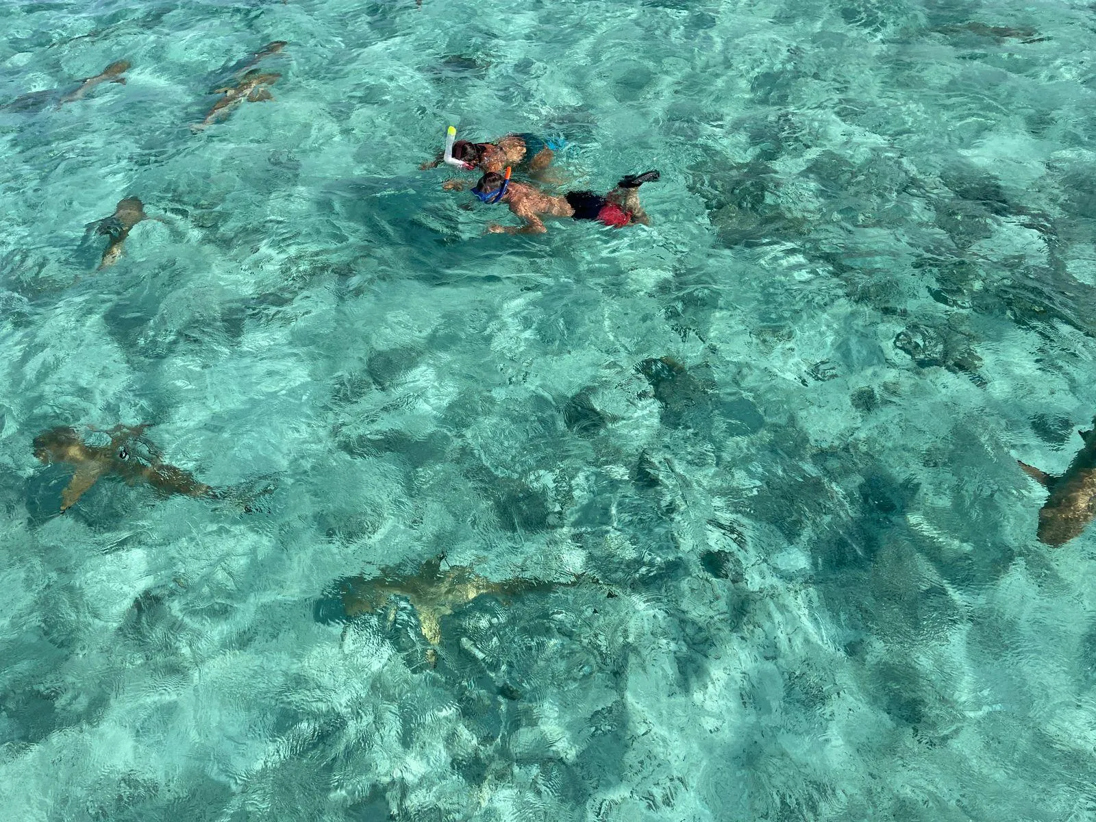 Snorkeller over pale sand