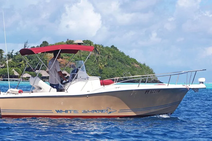 White Shark boat underway past a green hillside