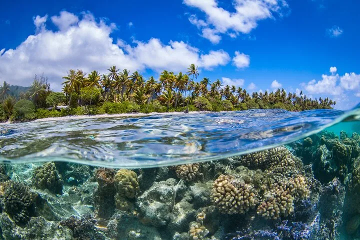 Split view of a palm-fringed motu above water and coral below