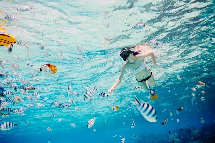 Snorkeller among tropical fish in the lagoon