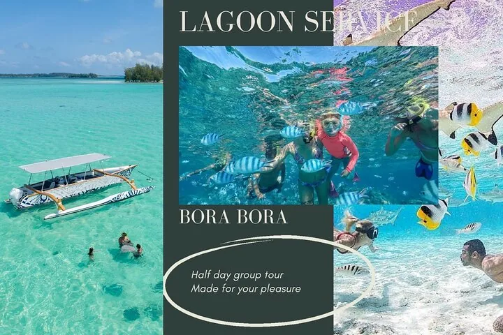 Half-Day Small-Group Lagoon Cruise with Snorkeling