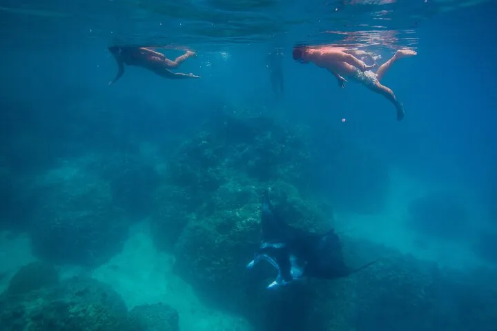 Snorkellers over a deeper blue reef