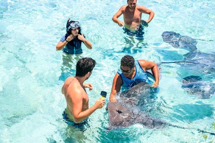Guests standing waist-deep with stingrays