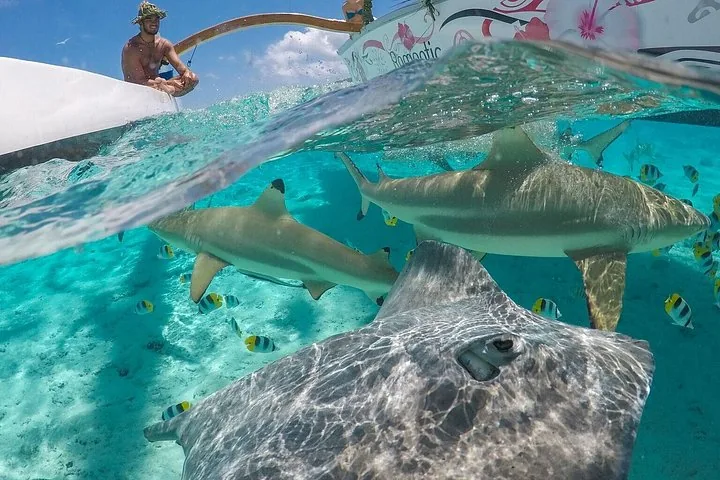 Outrigger Canoe Snorkel Cruise with BBQ Island Lunch