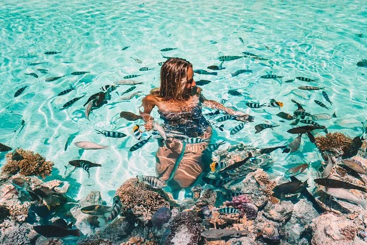 Snorkeller among fish over coral