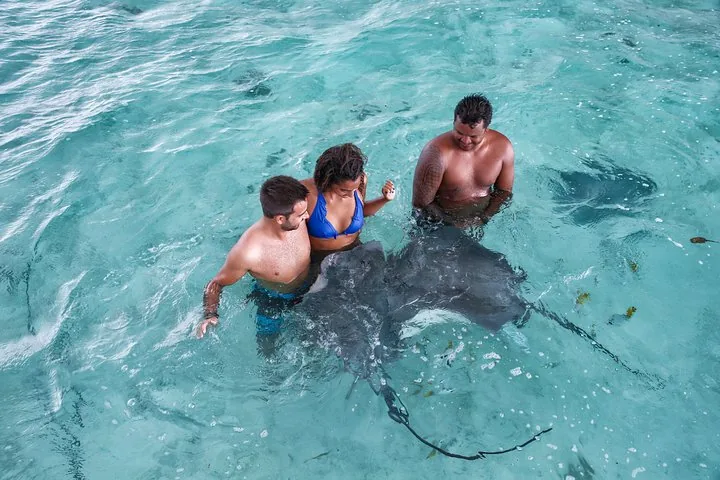 Guests with a stingray in shallow water