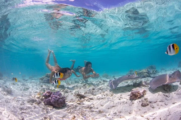 Snorkeller with fish over coral
