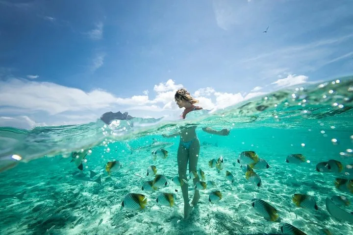 Guest standing in turquoise shallows, split underwater view